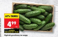 Ogórek