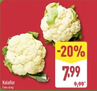 Kalafior