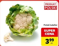 Kalafior Polski