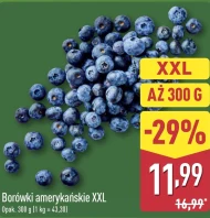 Borówki amerykańskie