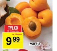 Morele