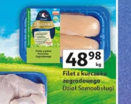 Filet z kurczaka
