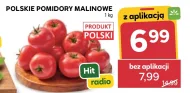 Pomidory Hit