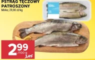 Pstrąg tęczowy Mirko