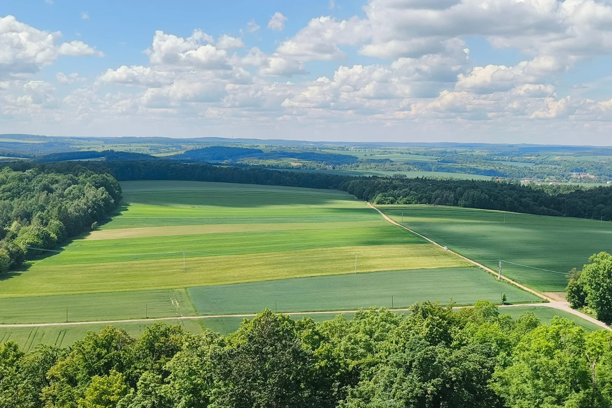 Rozległe, zielone pola uprawne przecięte prostą żwirową drogą, otoczone pasem lasu na tle łagodnych wzgórz i nieba z rozproszonymi, białymi chmurami.