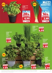 Wielkie zakupy, małe ceny - Kaufland