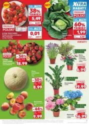 Wielkie zakupy, małe ceny - Kaufland