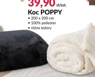 Koc