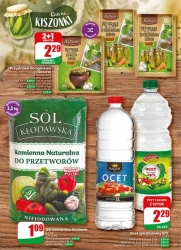 Tydzień pełen promocji – Dino