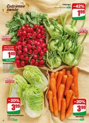 Tydzień pełen promocji – Dino