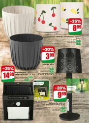 Tydzień pełen promocji – Dino