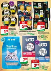 Tydzień pełen promocji – Dino