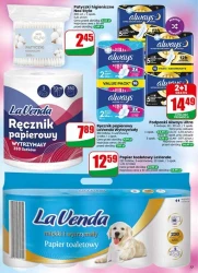 Tydzień pełen promocji – Dino