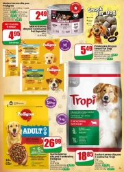 Tydzień pełen promocji – Dino