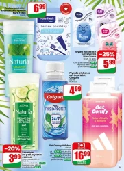 Tydzień pełen promocji – Dino