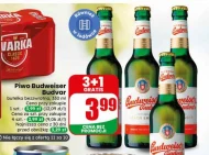 Piwo Budweiser