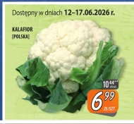 Kalafior