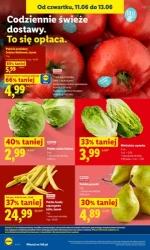 Świeżo w promocji – Lidl