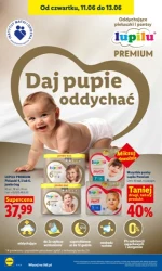 Świeżo w promocji – Lidl