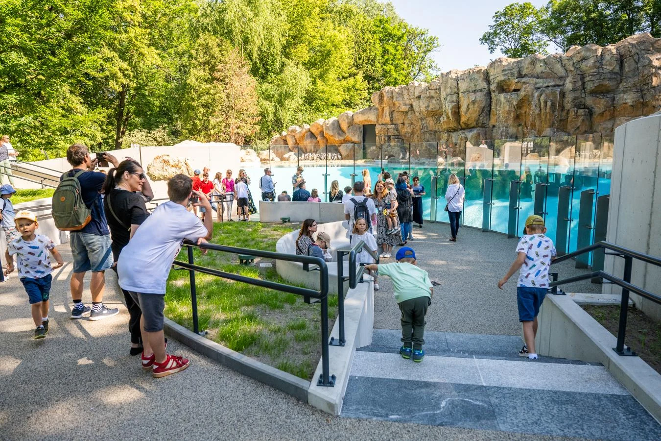 Grupa dzieci i dorosłych przy wybiegu w zoo, skupiona wokół szklanych ścian otaczających wybieg, z naturalnymi skałami i bujną zielenią w tle.