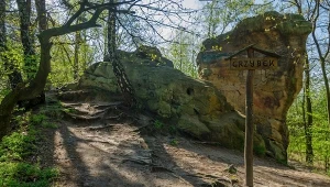 Pogórze Ciężkowickie. Skamieniałe Miasto przyciąga naturą i legendami