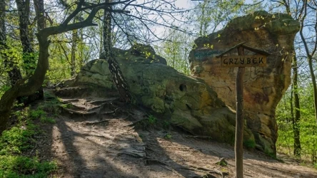 Skamieniałe Miasto zachwyca formami skalnymi, a jedną z nich jest Grzybek