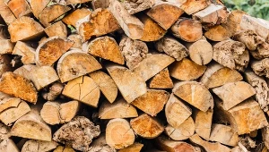 Ceny drewna opałowego w czerwcu zachęcają do kupna