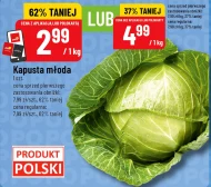 Kapusta młoda Polski