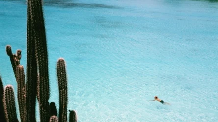 Curaçao podbija świat. Najmniejszy uczestnik mundialu zachwyca plażami i klimatem Karaibów