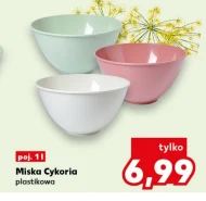 Miska Cykoria