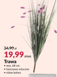 Trawa