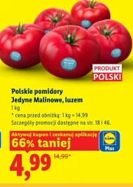 Помідори