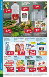 Tanio tutaj jest - Stokrotka Supermarket
