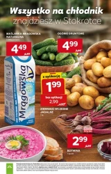 Hity cenowe - Stokrotka Market