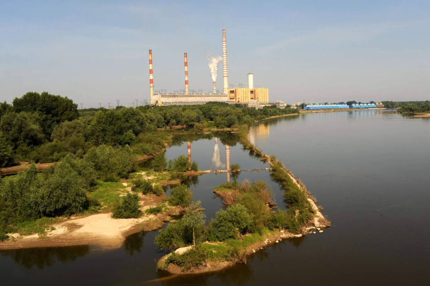 Zespół naukowców dowiódł w ostatnich latach, że połowa wylęgu i narybku płynących Wisłą obok elektrowni Kozienice jest zasysana przez systemy chłodzenia Elektrownia z charakterystycznymi kominami na tle rzeki, otoczona przez tereny zielone i zalesione brzegi.