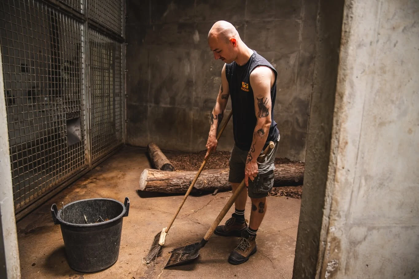 Praca opiekuna ssaków drapieżnych w zoo we Wrocławiu. Mężczyzna w sportowej koszulce i szortach sprząta pomieszczenie z betonowymi ścianami, używając szufelki i miotły; obok stoi plastikowe wiadro, a w tle leżą drewniane kłody.