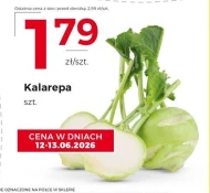 Kalarepa E