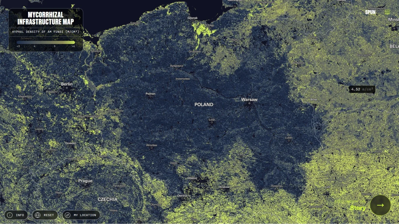 Mapa zatytułowana 'Mycorrhizal Infrastructure Map', przedstawiająca gęstość grzybni na obszarze Polski i sąsiednich regionów, z wyraźnie oznaczonymi nazwami dużych miast, takimi jak Berlin, Warszawa, Praga i Bratysława, oraz zróżnicowaniem kolorystyczn...