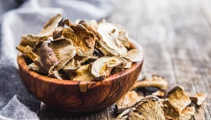 Tych grzybów lepiej nie suszyć. Zmienią smak albo całkowicie się rozpadną