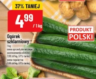 Огірок Polski