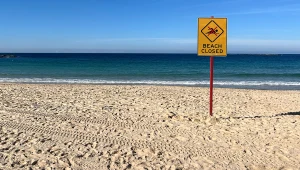 Plaże w Sydney zostały zamknięte po ataku rekina na 30-letnią kobietę