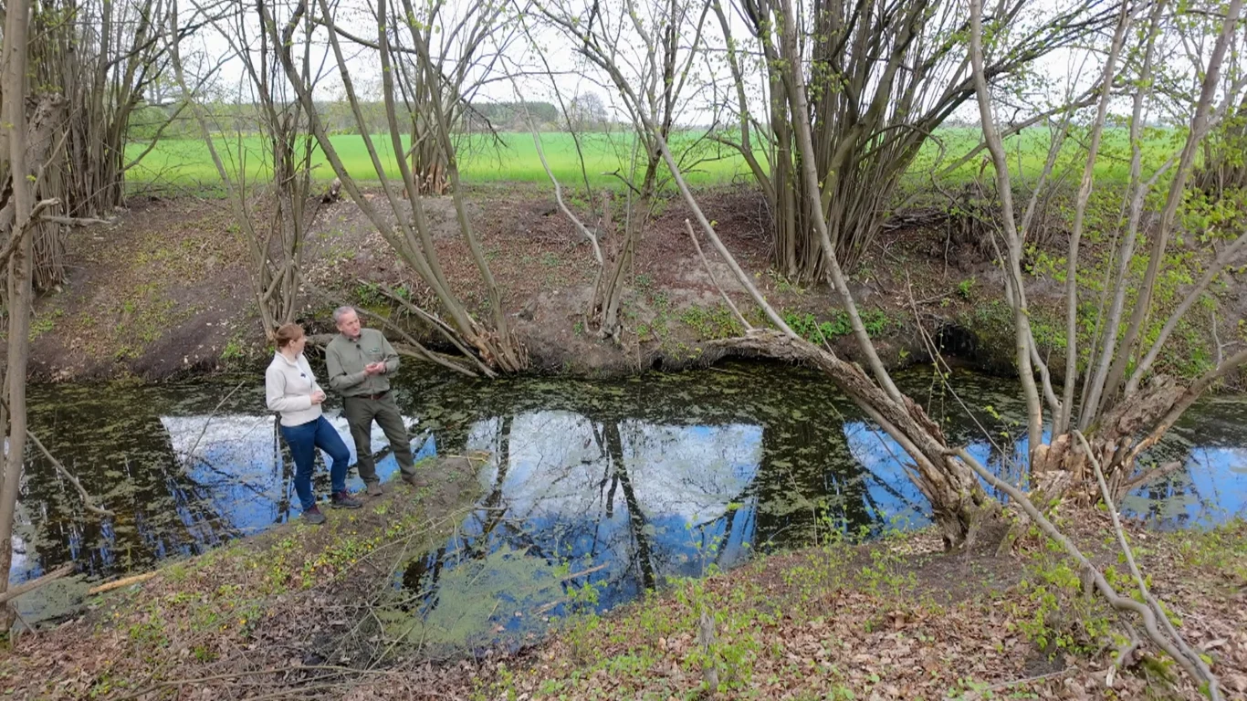 Dwie osoby stoją przy brzegu niewielkiego, zarośniętego oczka wodnego otoczonego drzewami, w tle widoczne pole i bezchmurne niebo odbijające się w powierzchni wody.