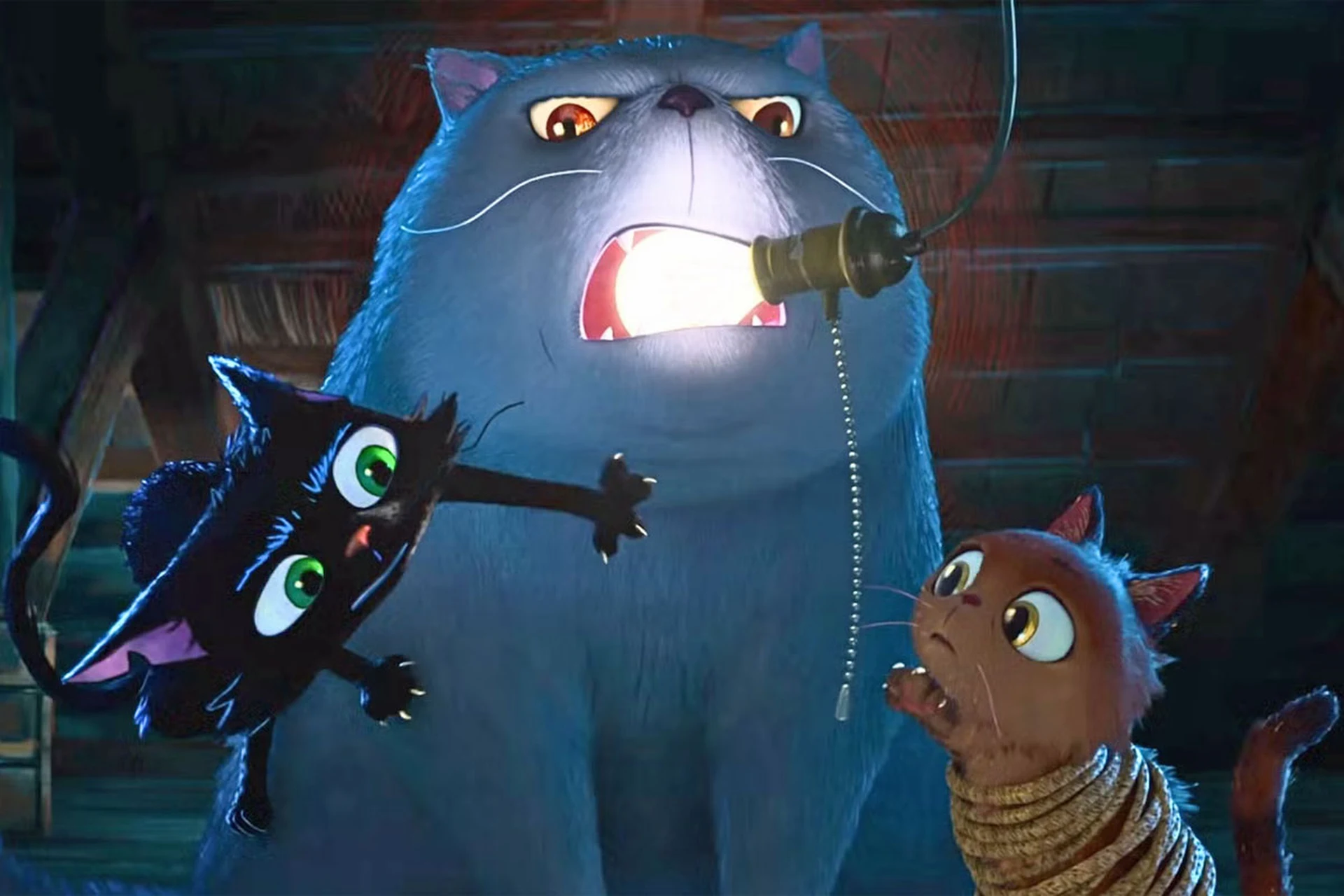 Kadr z animacji "Gatto"