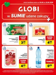 Udane zakupy! - Globi