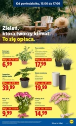 Świeże hity prosto do koszyka - Lidl