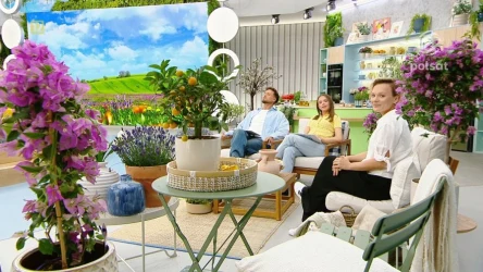 Jak urządzić balkon w stylu śródziemnomorskim? Kasia Joda zdradza sprytne patenty