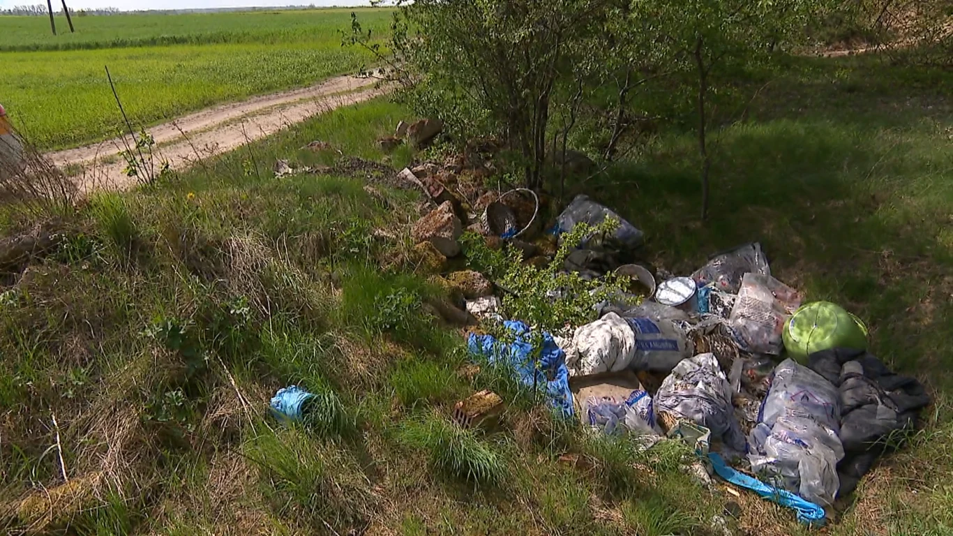 Porzucone worki i stosy śmieci w rowie przy polnej drodze, otoczone zieloną trawą i krzakami.