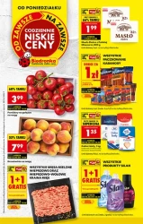 Letnie okazje na co dzień – Biedronka