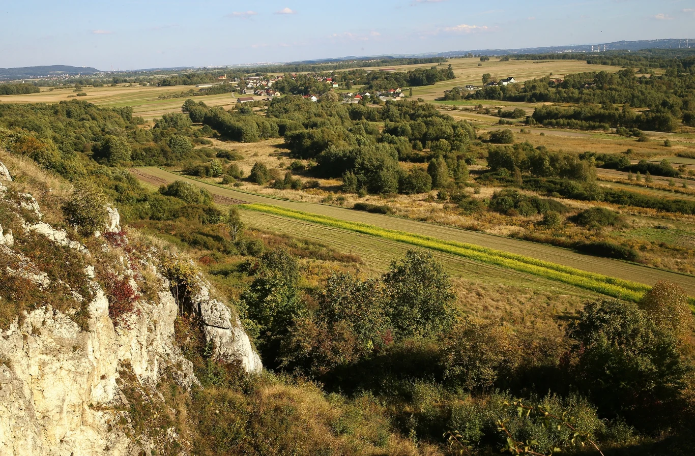 Wyjątkowy rezerwat pod Krakowem. W sam raz na krótką wycieczkę za miasto. Panorama rezerwatu Kajasówka pod Krakowem z wapienną skałą, polami, drzewami i zabudowaniami wiejskimi w tle.