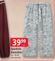 Spodnie damskie
